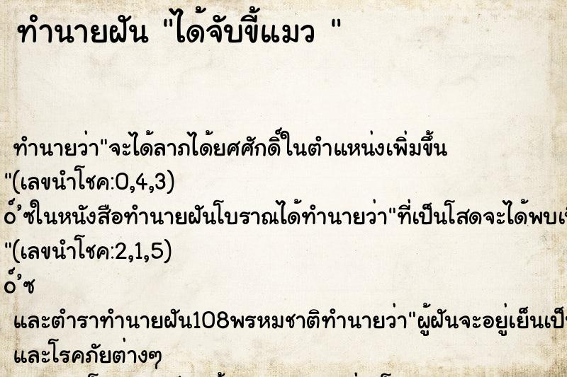 ทำนายฝันทำนายฝันได้จับขี้แมว
